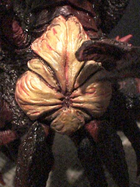 dcrab3.jpg (136354 bytes)